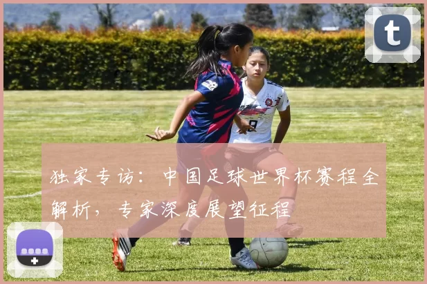 独家专访：中国足球世界杯赛程全解析，专家深度展望征程