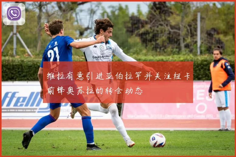 维拉有意引进亚伯拉罕并关注纽卡前锋奥苏拉的转会动态