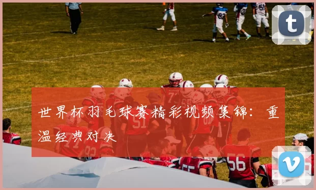 世界杯羽毛球赛精彩视频集锦：重温经典对决