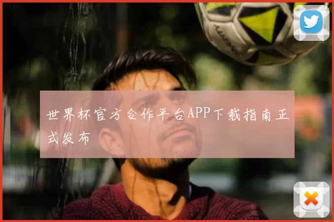 世界杯官方合作平台APP下载指南正式发布