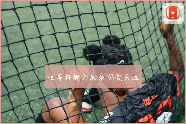 世界杯概念股表现受关注