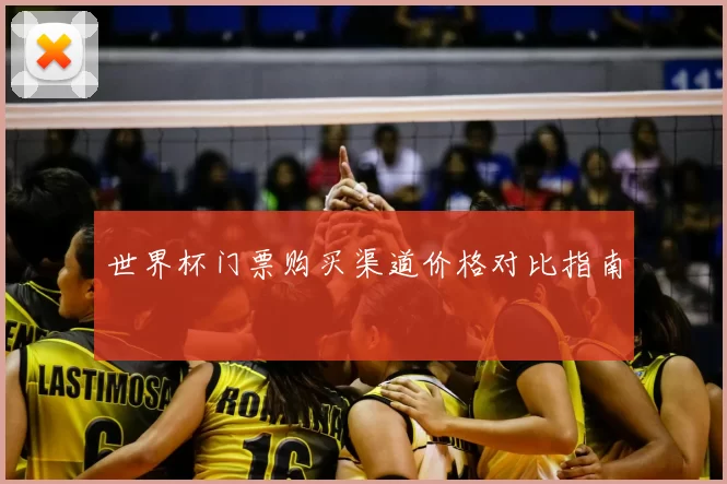 世界杯门票购买渠道价格对比指南