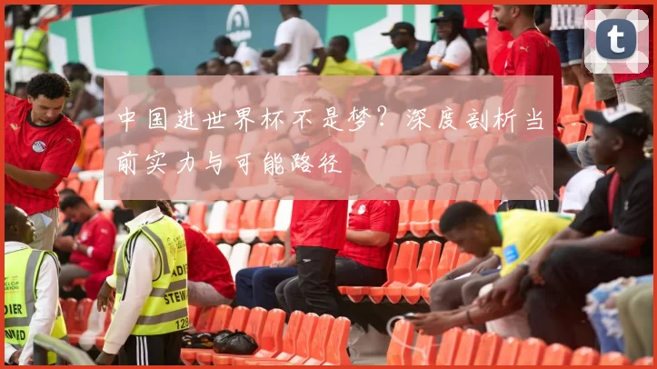 中国进世界杯不是梦？深度剖析当前实力与可能路径