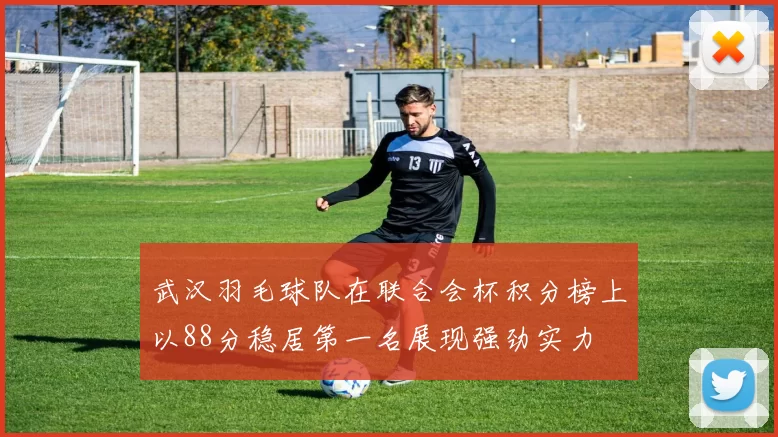 武汉羽毛球队在联合会杯积分榜上以88分稳居第一名展现强劲实力