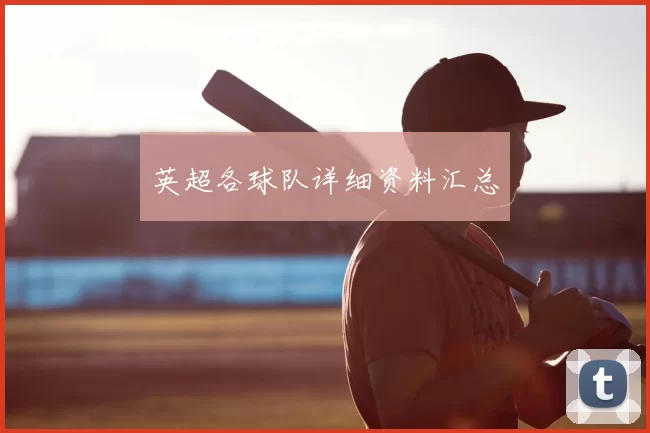 英超各球队详细资料汇总