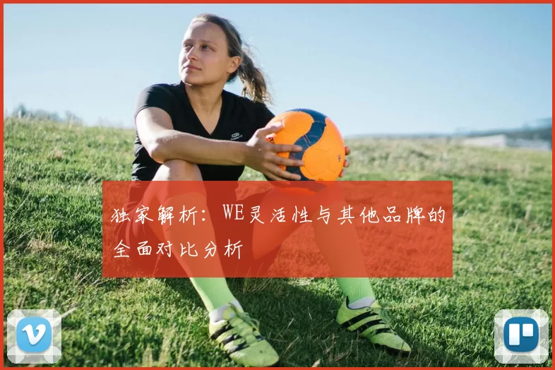 独家解析:WE灵活性与其他品牌的全面对比分析