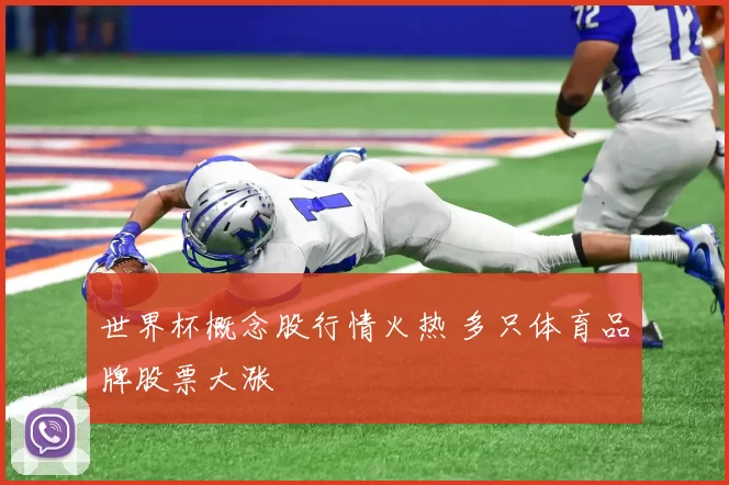 世界杯概念股行情火热 多只体育品牌股票大涨