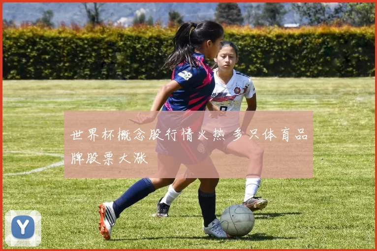 世界杯概念股行情火热 多只体育品牌股票大涨
